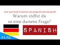 ¿Por qué estás haciendo una pregunta tan estúpida? - 1 Pregunta - 10 Respuestas - Alemán -  (F&amp;A 41)