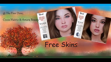 Free skins In #SecondLife