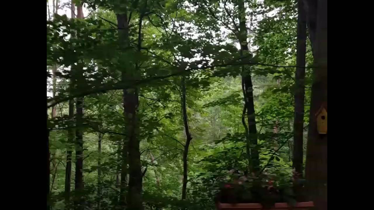 Cabin Vacation in Helen Georgia