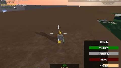ROBLOX Remade Deadzone Hacker 2