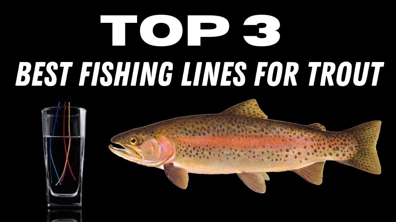 Top 3 Best Fishing Lines for Trout What Factors to keep in mind when