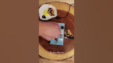 NoiseBoyz.com Pedal Demo | Octa Hive