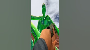 SCP - 096 CHASE (Garry