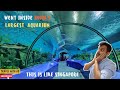 India has penguins in this place  indias largest sea tunnel with sharks  like dubai