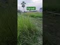 Khet Khaliyan Music Travelblog Shortsfeed Travel Myfirstroadtrip Travelvideo Youtube Khet Khet Khaliyan Music Travelblog Shortsfeed Travel Myfirstroadtrip Travelvideo Youtube Khet