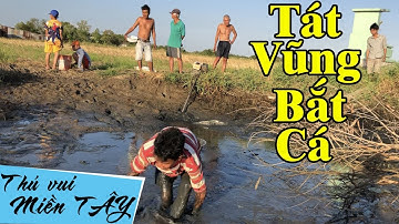 Tát vũng nước nhỏ nhưng đâu ngờ cá lại khủng thế này | THÚ VUI MIỀN TÂY 41