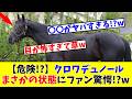【大阪杯】【危険!?】クロワデュノール、まさかの状態にファン驚愕!?www