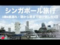 【シンガポール】子連れ海外旅行Vlog4【グルメ・スペクトラ】