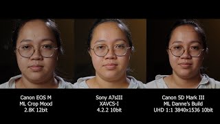 Sony A7Siii Vs Magic Lantern Crop Mood And Dannes Build