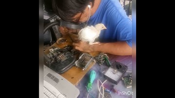 REPAIRING 2WAY RADIO/ WITH CHICKS AT MY SIDE