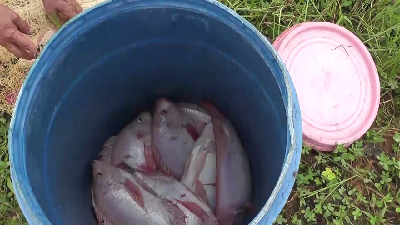 Granja sostenible y productiva