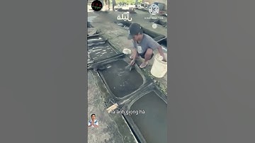 Mấy chú rái cá rất giỏi và thấy cưng quá đi