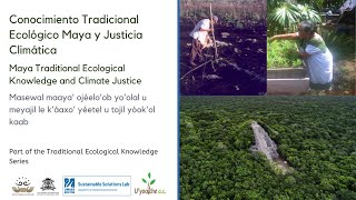 Conocimiento Tradicional Ecológico Maya y Justicia Climática
