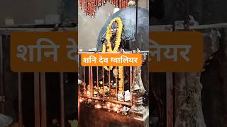 sani maharaj🙏🌼#youtubeshorts #shortvideo #sanidev #sanimaharaj #bhakti #sanibhagwan #mandir