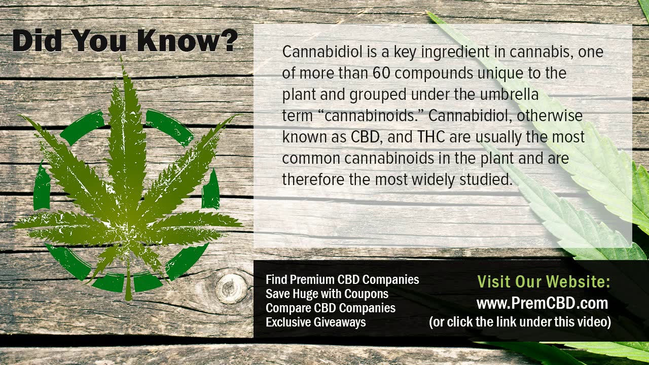 Best CBD Oil Affiliate Program CBD Uses