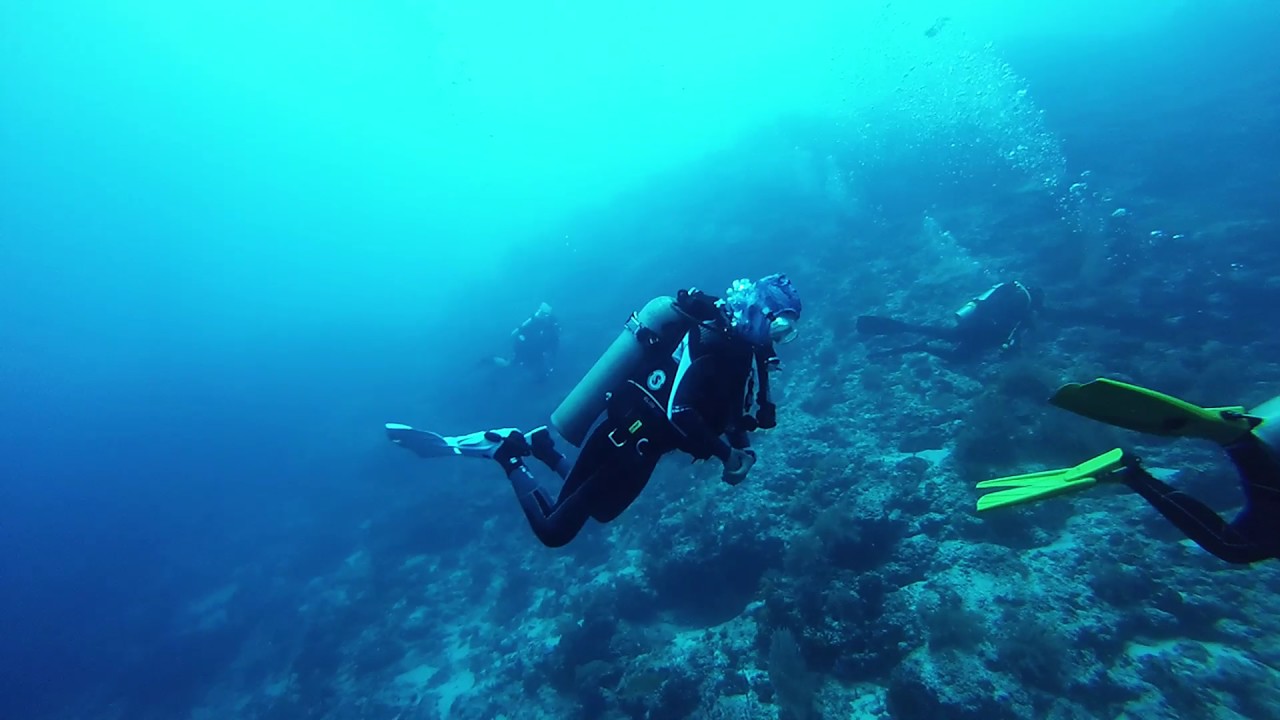 Tubbataha Philippines Diving May 2016 - YouTube