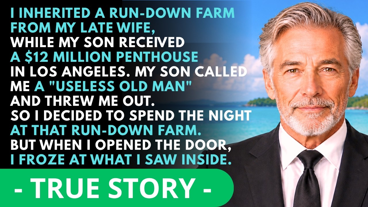 A dying wife. A stolen inheritance. A son who called me a useless old man and threw me out of the twelve-million-dollar penthouse I built with my own hands. Three weeks after I buried Sarah, I sat...