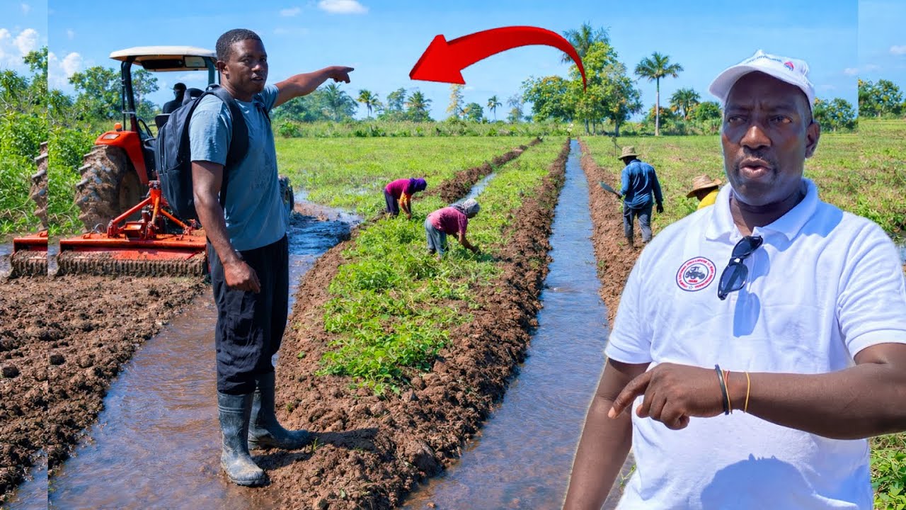 KPK💦🌾🇭🇹 WOYY JODIA SENAT METE ANPIL KÈ KONTAN NAN PLÈN NAN APRÈ PASTÈ MOÏSE FIN LIBERE NAN PRIZON AN