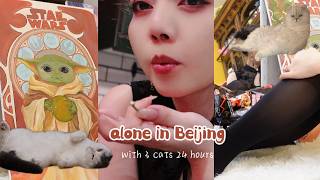 May the Force be with you #cats #animals #CozyArt #HealingMusic #vlog #painting #starwars