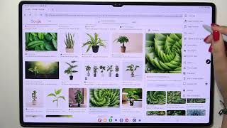How to Clear Browsing Data on Samsung Galaxy Tab S10 Ultra 5G | Manage Your Privacy Settings screenshot 5