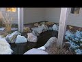 Interactive Aquascape Ecosystem Pond in the Des Moines metro. Just Add Water Ankeny Iowa