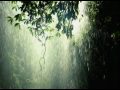 Chopin - Prelude Opus 28 Number 15 "Raindrop" (Ivo Janssen)