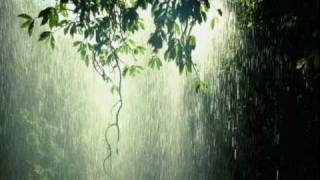 Chopin - Prelude Opus 28 Number 15 Raindrop (Ivo Janssen)