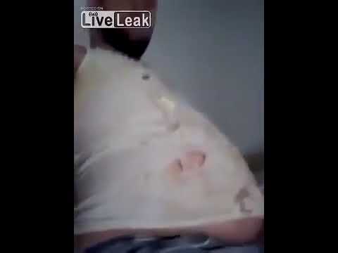 King Ass Ripper Eats Mayonnaise Drenched Pancakes In Reverse - YouTube.