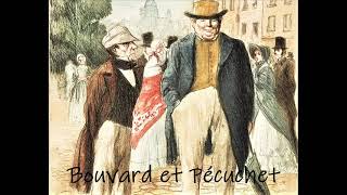 Bouvard et Pécuchet  romanzo di G. Flaubert LETTURA INTEGRALE