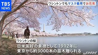 ワシントン Youtube