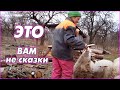 Личный опыт. Как есть. И про балки с электрическим счетчиком