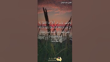 القارئ ماجد الزامل سورة الجاثية قصة بني إسرائيل