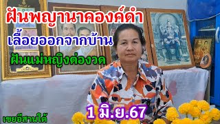 ฝันพญานาคองค์ดำ เลื้อยออกจากบ้าน ฝันแม่หญิงต่องวด 1 มิ.ย.67