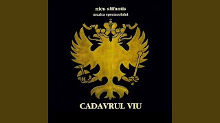 Pal Senike - Nicu Alifantis