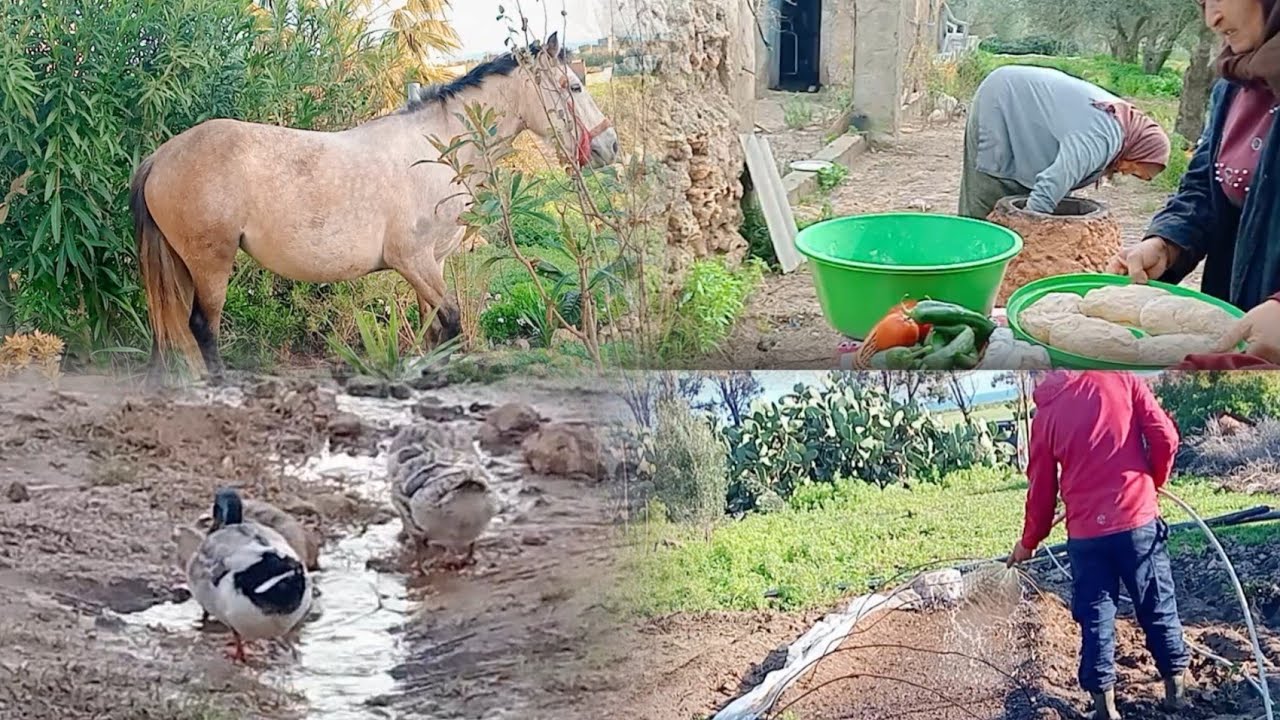 أن بعض الظن اثم حرام عليك!!!/استعدادات شهر رمضان/يوم من الزمن الجميل تعدى مع جارتي وأمي/ 