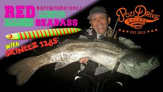 【ポジドライブガレージ】RED meets BACHI SEABASS with SKINEEZ 128S / レッド中村がスキニーズ128Sで秋のバチ抜けシーバスを釣る!!