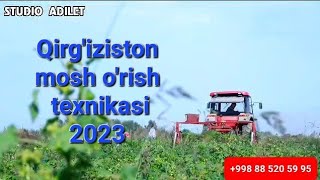 Qirg'iziston mosh o'rish texnikasi 2023