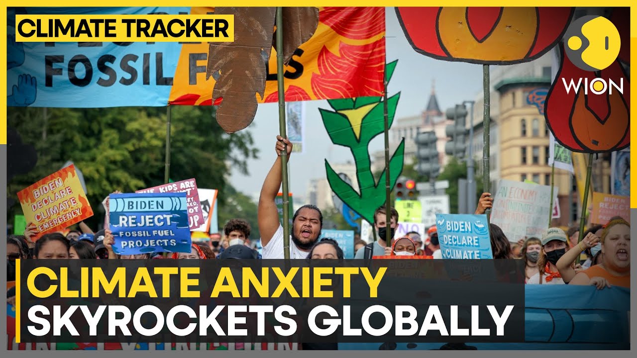 Gen Z rates climate change as its top concern: Study | WION Climate ...