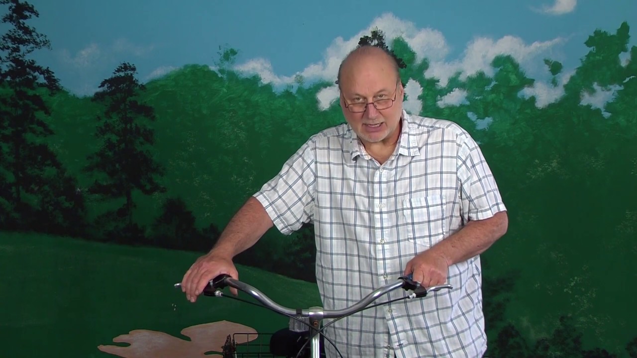 schwinn brake adjustment