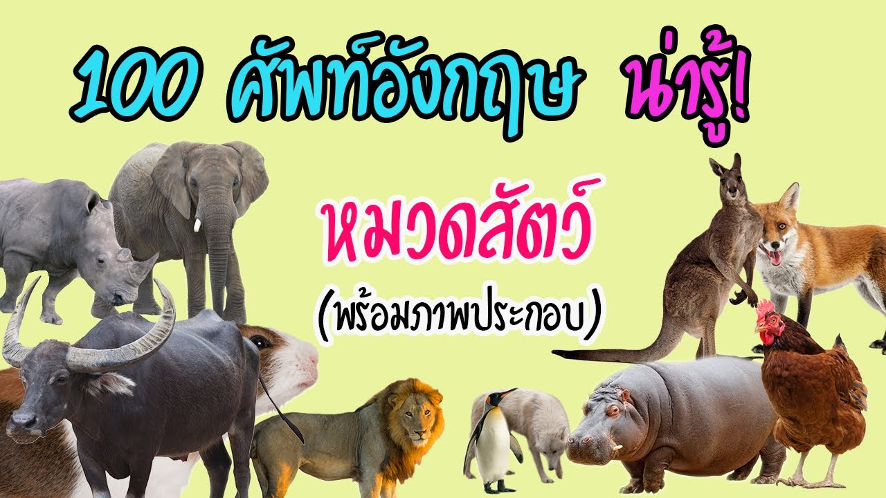 pow แปลว่า 2022 100 คำศัพท์ \