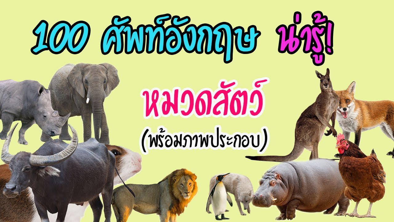 header แปลว่า  Update  100 คำศัพท์ \