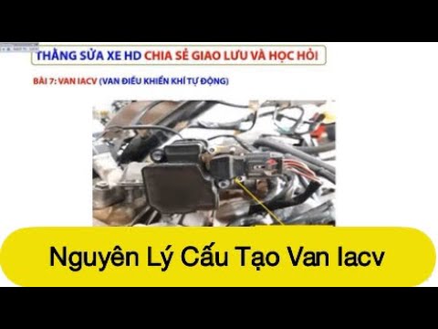 Video: IACV làm gì?