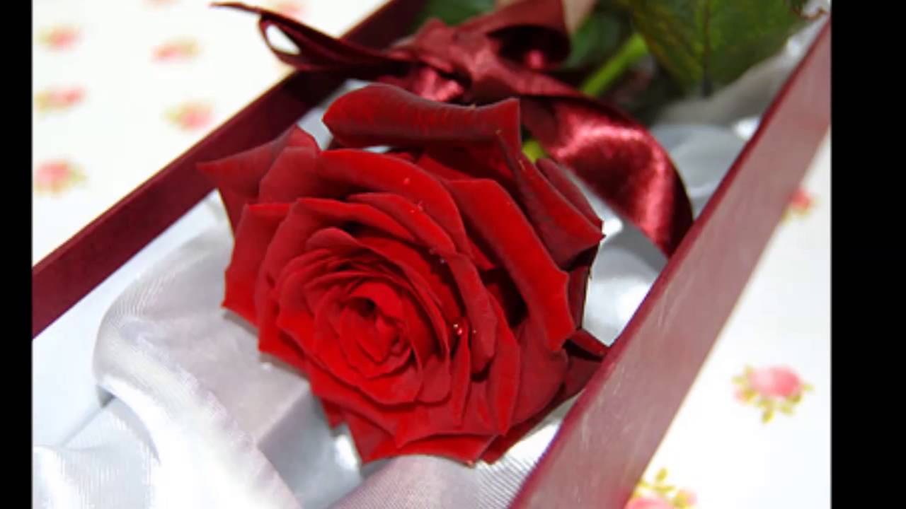 Regardez Yin khone than sakar (Sithu Lwin) sur YouTube