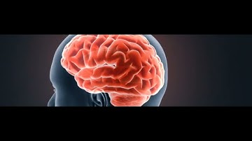 Homepage Video July 2019