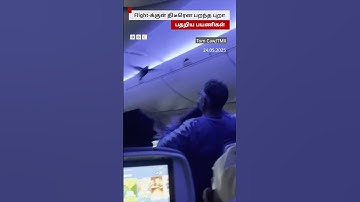 Flight-க்குள் திடீரென பறந்த புறா... பதறிய பயணிகள்