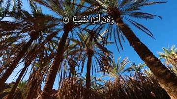 📖 تلاوة خاشعة من سورة مريم | الشيخ محمد صديق المنشاوى | الآيات 16 – 33  #المصحف_المرتل