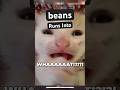 beans Runs into an Incel | Marvel Rivals