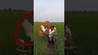 tiang Ngakuin Pelih Tiange Terangterangansuperfunny  India United southkore