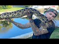 Feeding my King Cobra and Massive Rattlesnakes!!