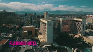 Flamingo Hotel Las Vegas 2018